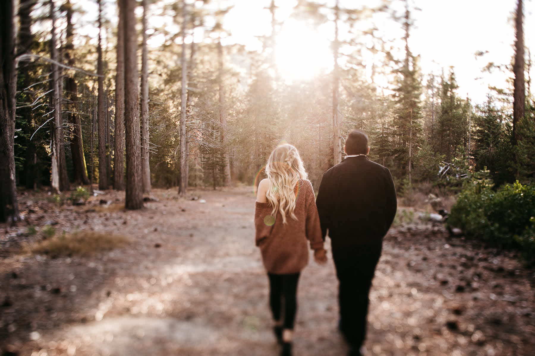 donner-lake-tahoe-national-forest-fall-engagement-session-4