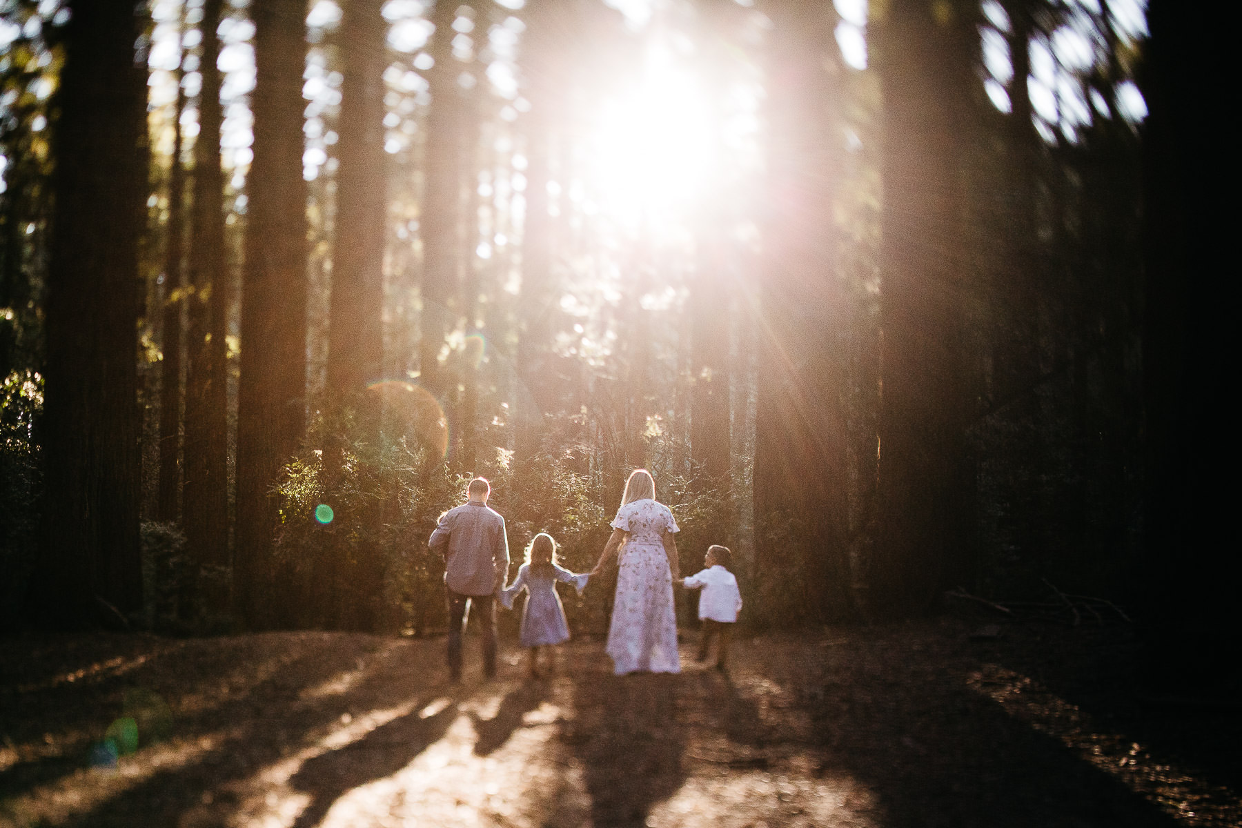 oakland-redwoods-morning-light-joaquin-miller-park-lifestyle-session-20