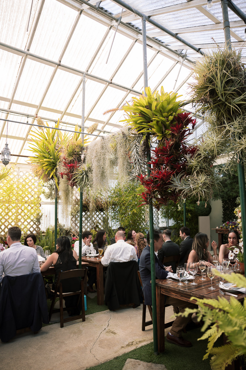 Pacifica-shelldance-orchid-gardens-summer-wedding-127