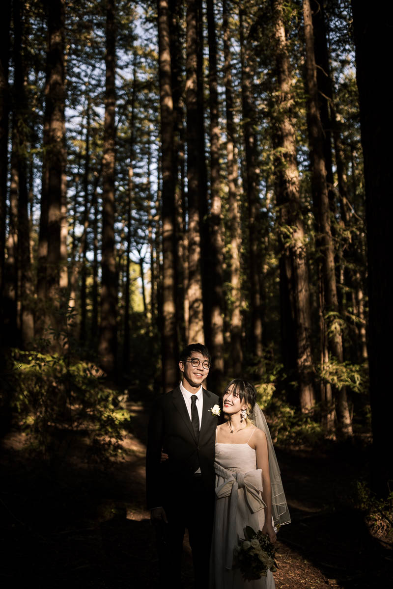 sf-city-hall-redwoods-elopement-shiba-62