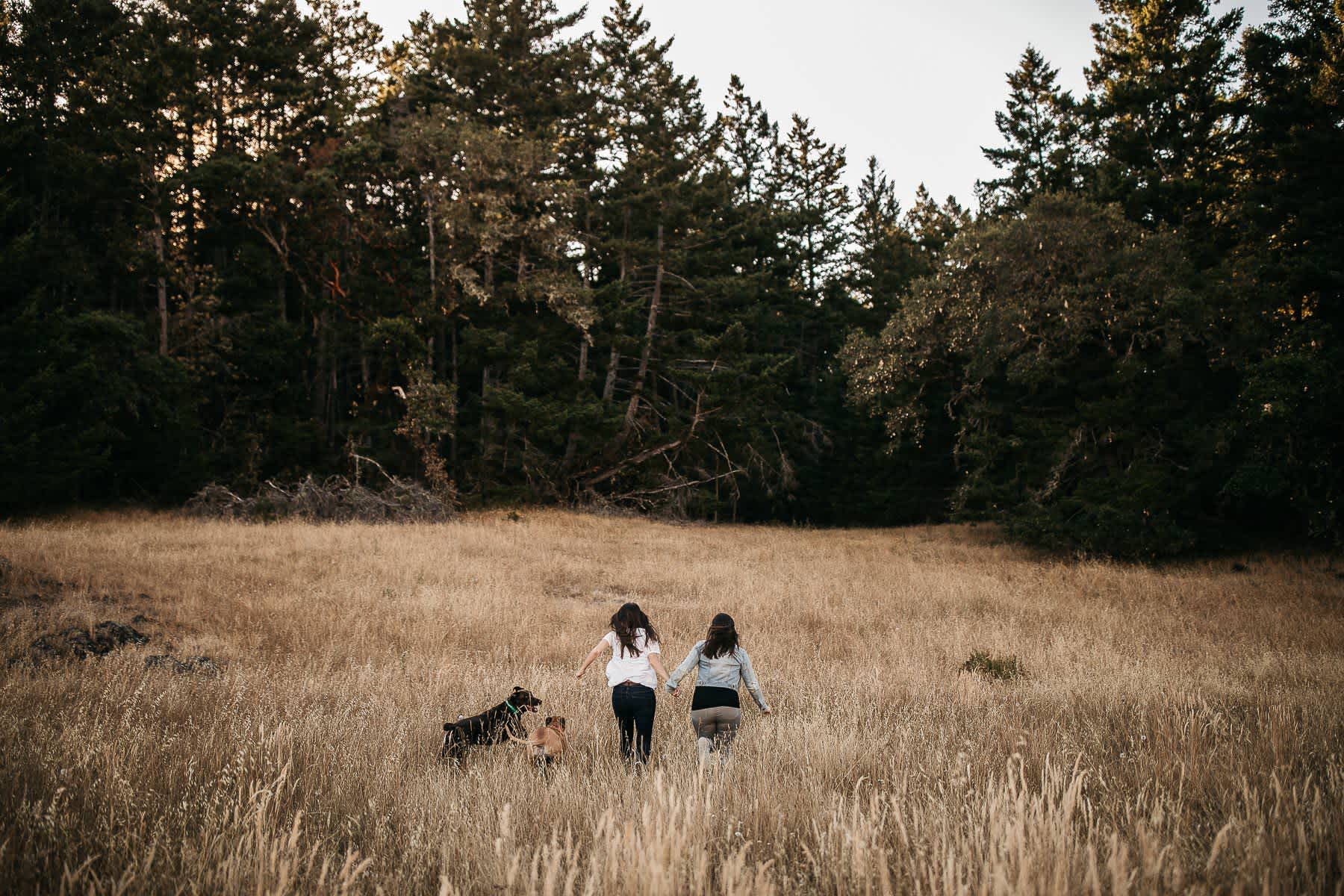 mt-tam-sunset-engagement-session-with-boxer-lab-dogs-11