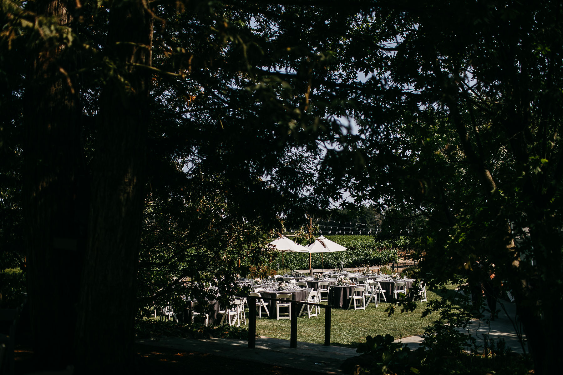 sebastopol-ca-summer-wedding-63