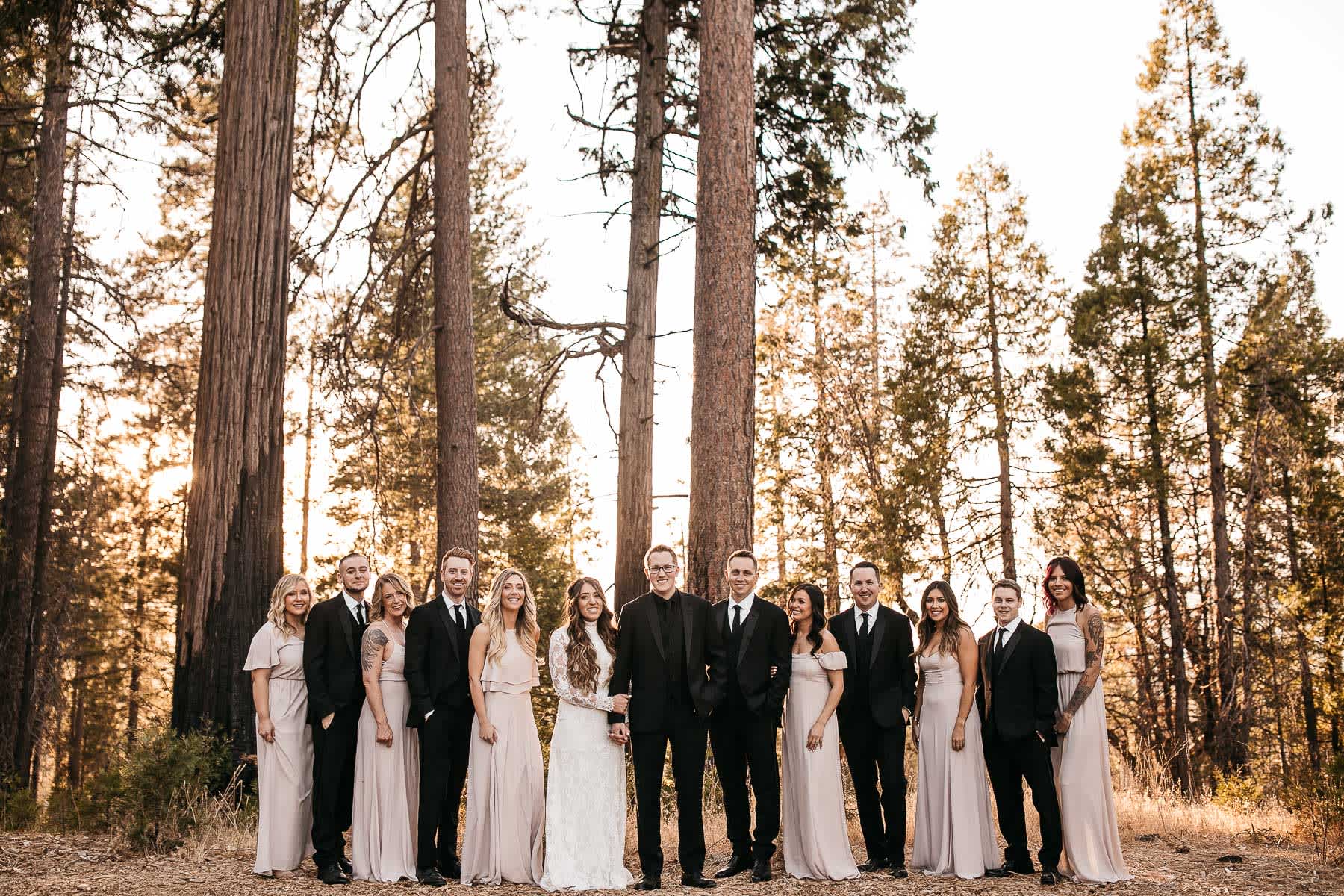 yosemite-rush-creek-fall-wedding-goldendoodle-65