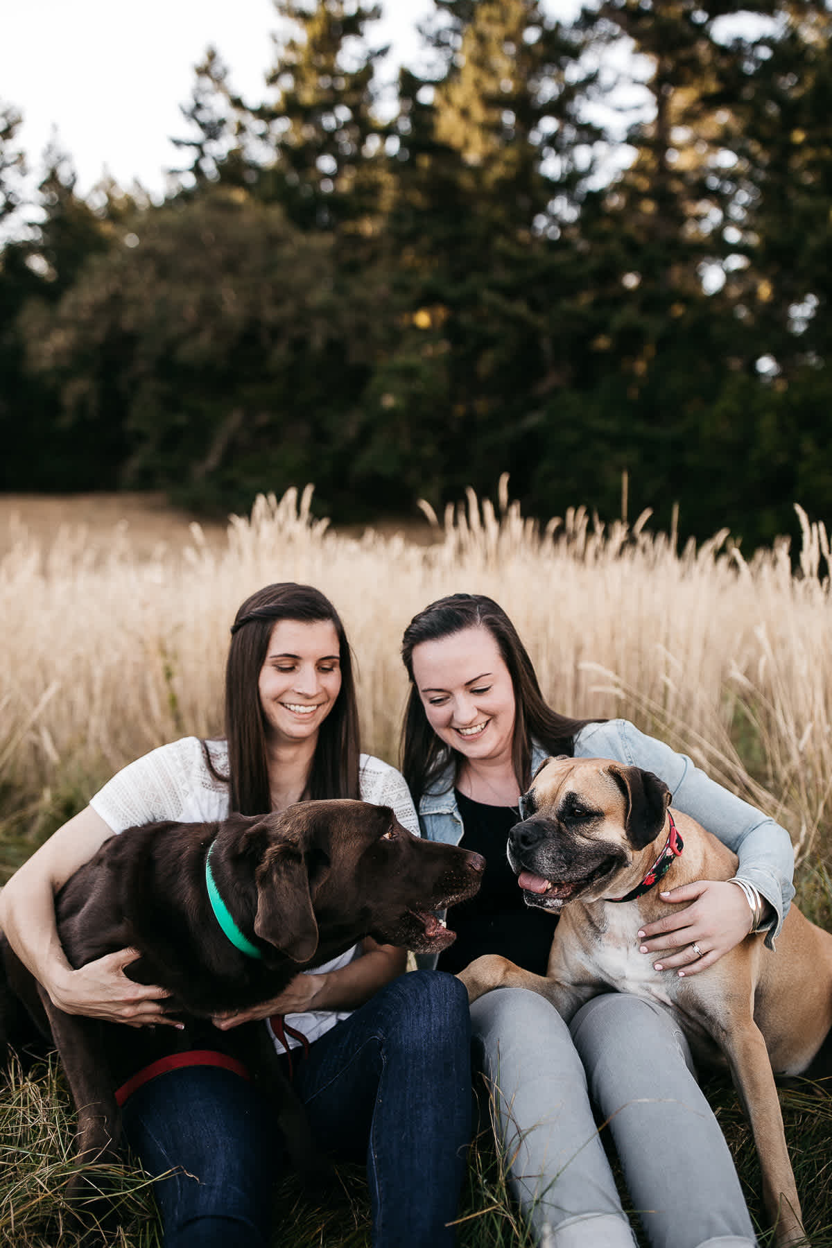 mt-tam-sunset-engagement-session-with-boxer-lab-dogs-1