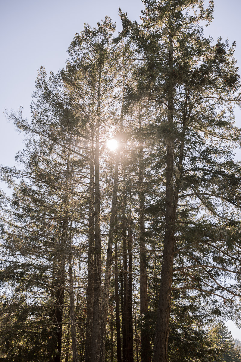 Stavrand-Russian-River-intimate-fall-wedding-43