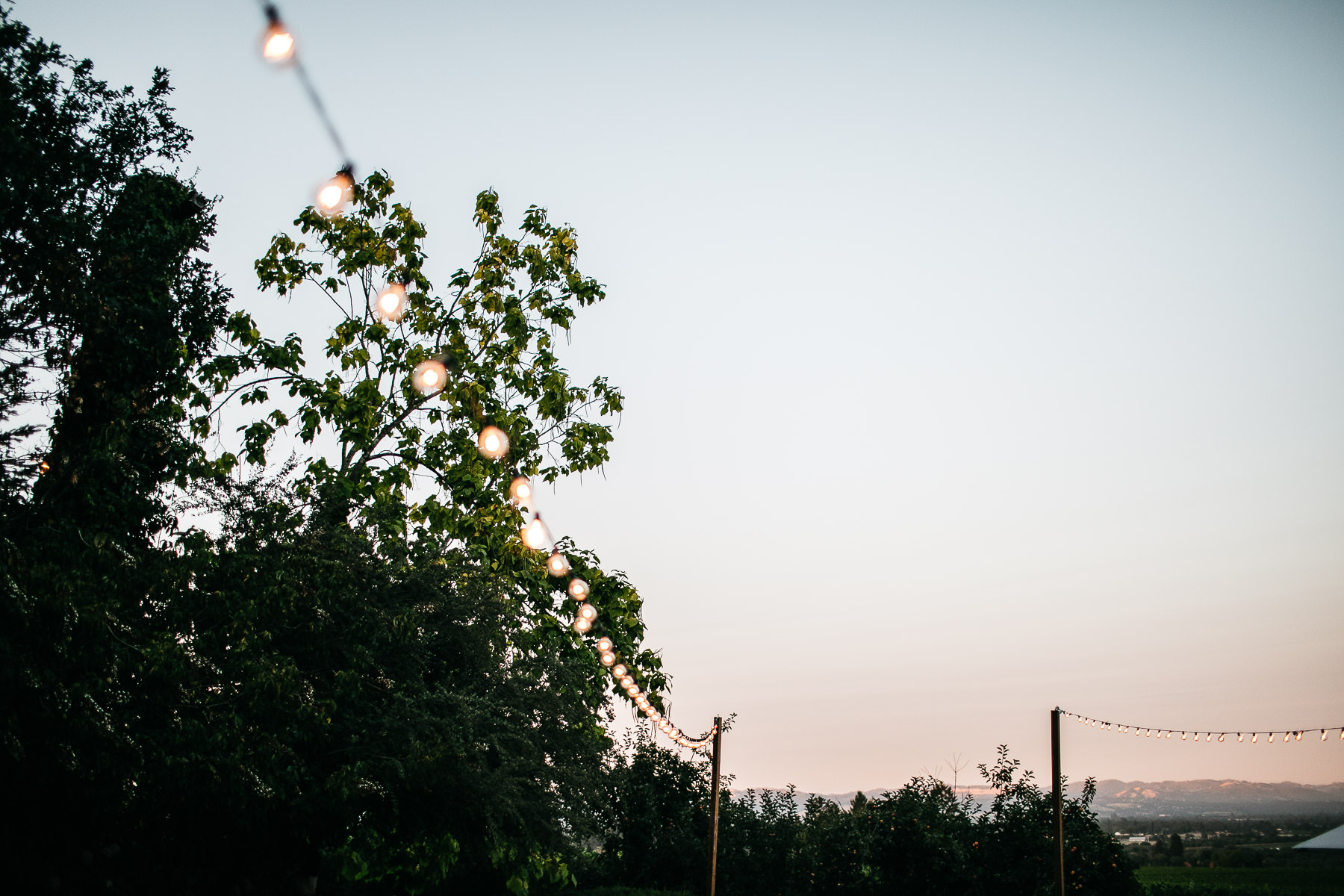 sebastopol-ca-summer-wedding-128