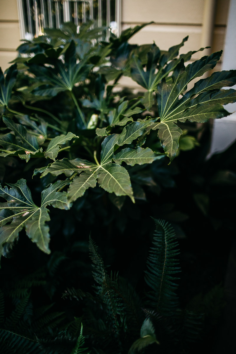 Healdsburg-ca-madrona-manor-fall-wedding-3