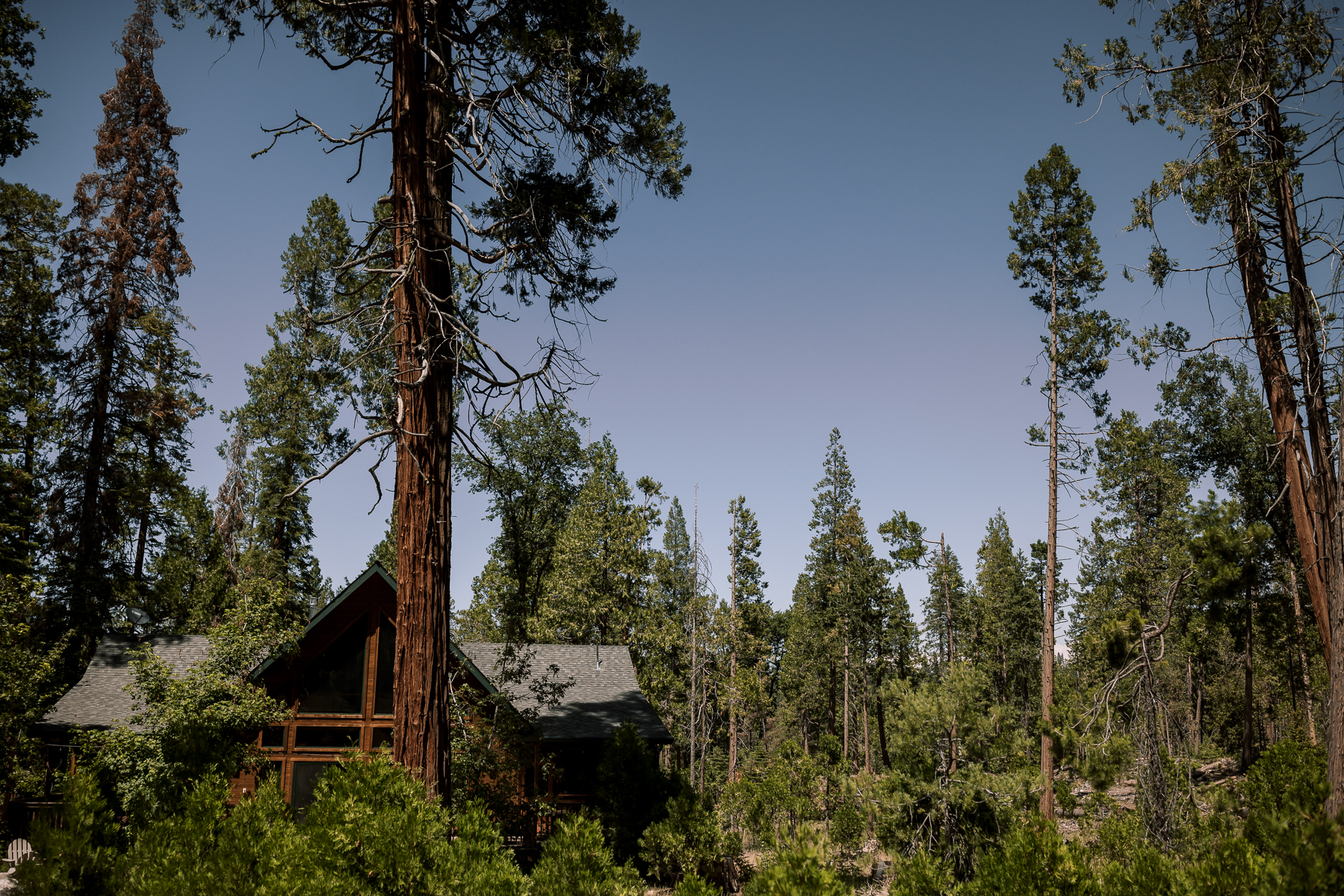 Evergreen-Lodge-Yosemite-Summer-wedding-60