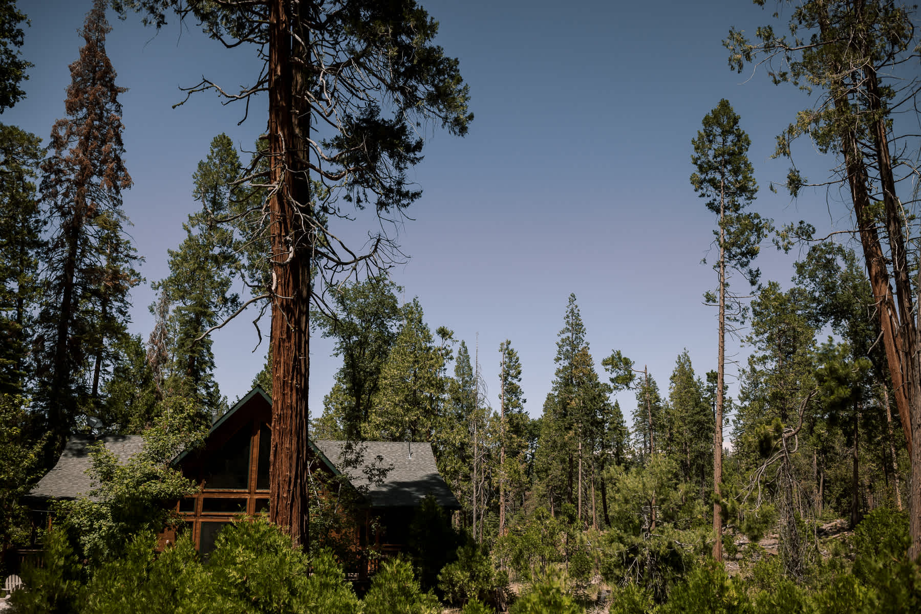 Evergreen-Lodge-Yosemite-Summer-wedding-60