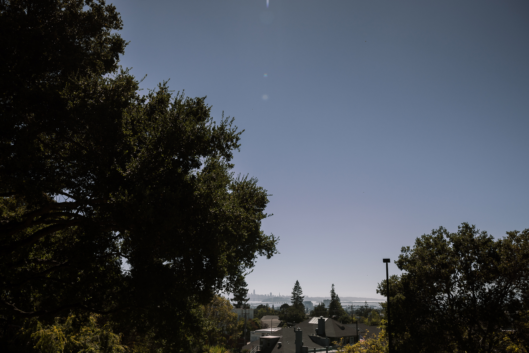 Berkeley-Faculty-Club-Intimate-Fall-wedding-2