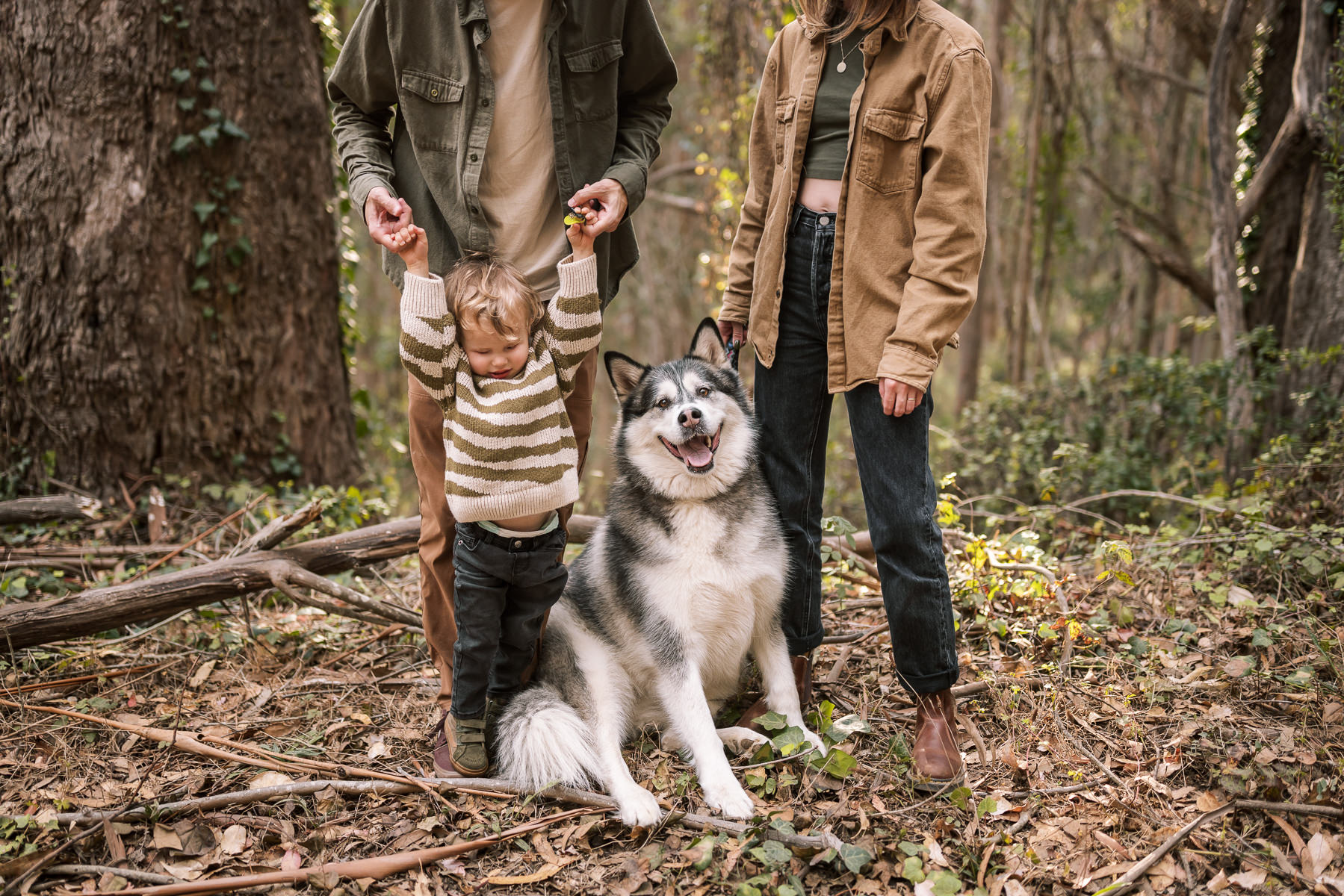 pacifica-eucalyptus-fall-family-lifestyle-session-4