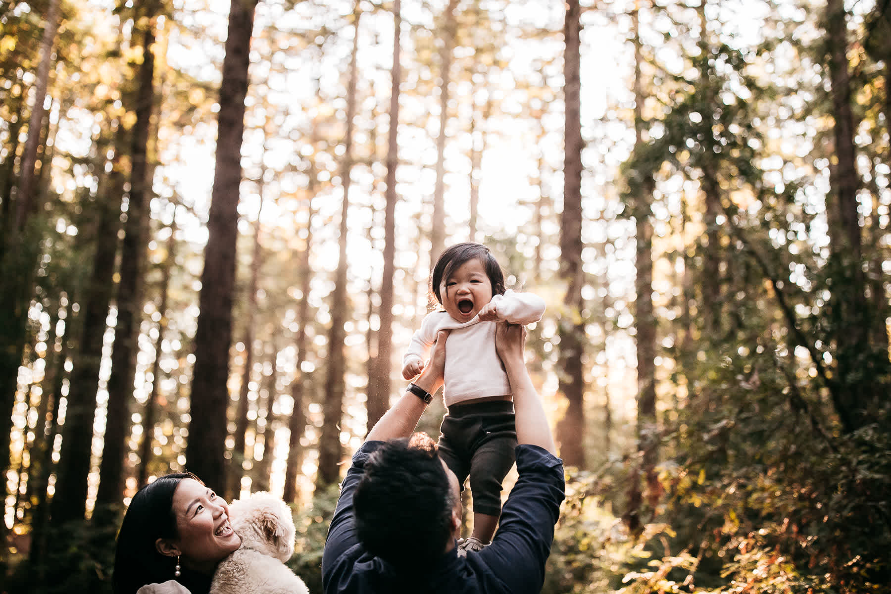 oakland-redwoods-lifestyle-first-birthday-session-8
