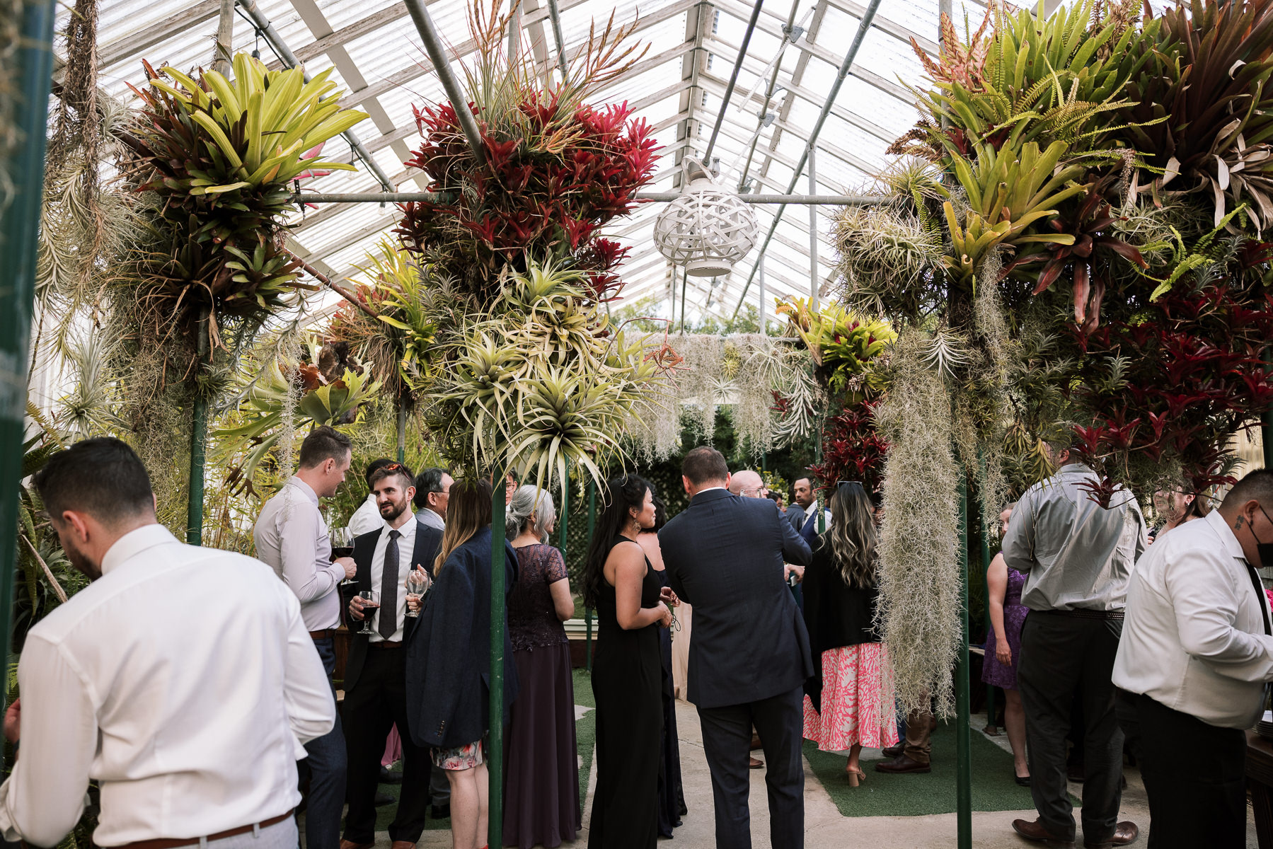 Pacifica-shelldance-orchid-gardens-summer-wedding-138