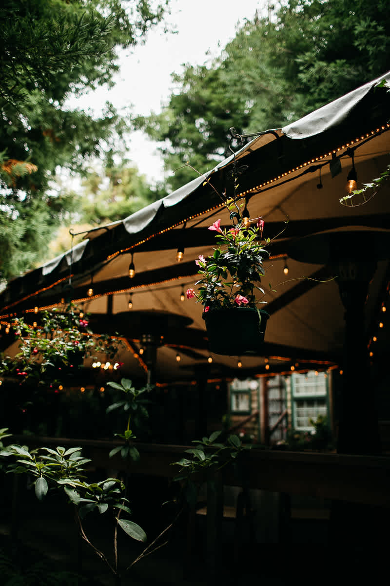 bodega-bay-secret-garden-gloomy-fall-wedding-121