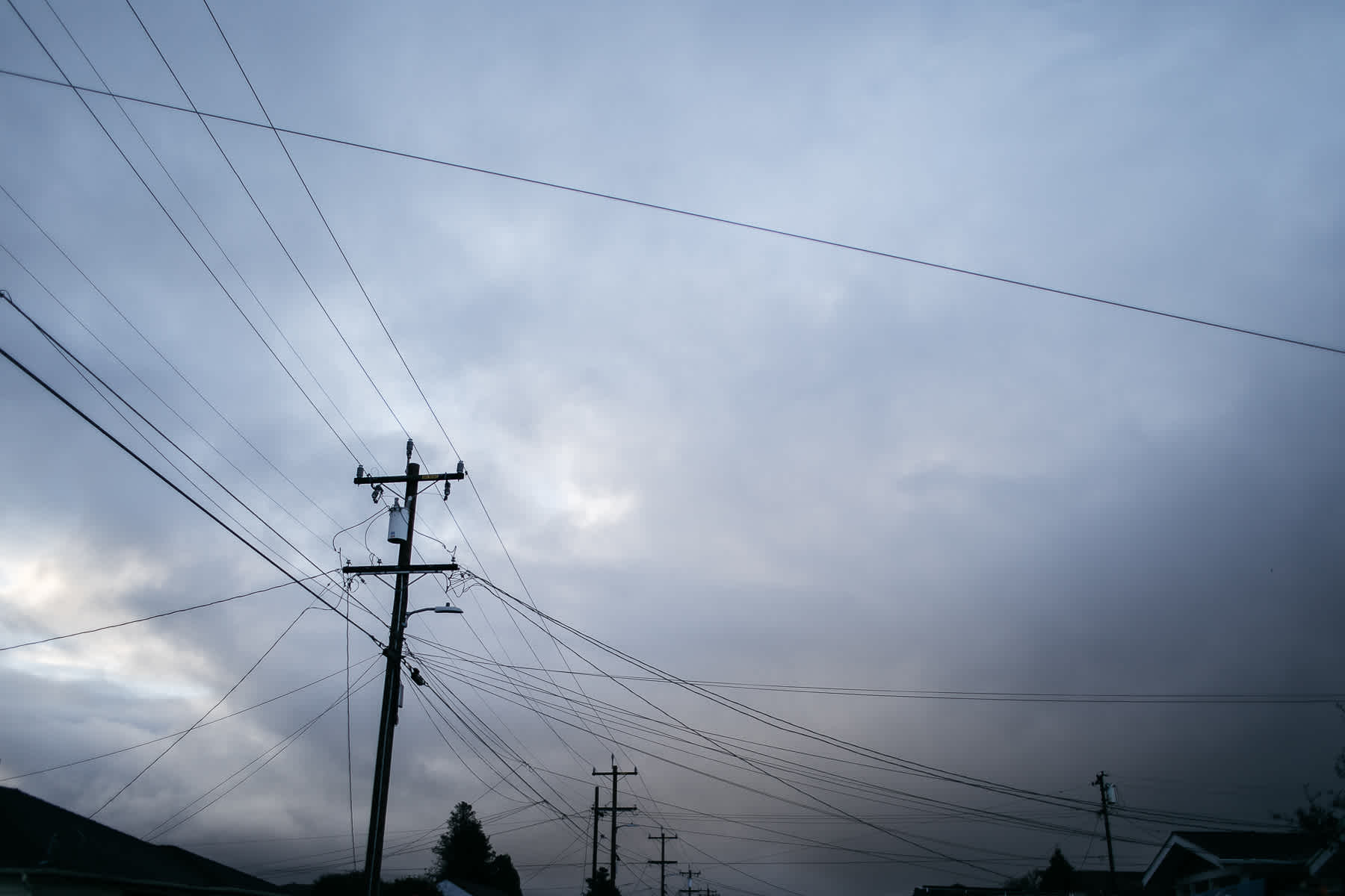 richmond-ca-family-session-cattledog-neighborhood-1