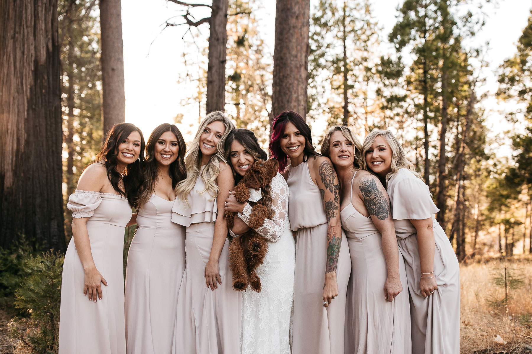 yosemite-rush-creek-fall-wedding-goldendoodle-61