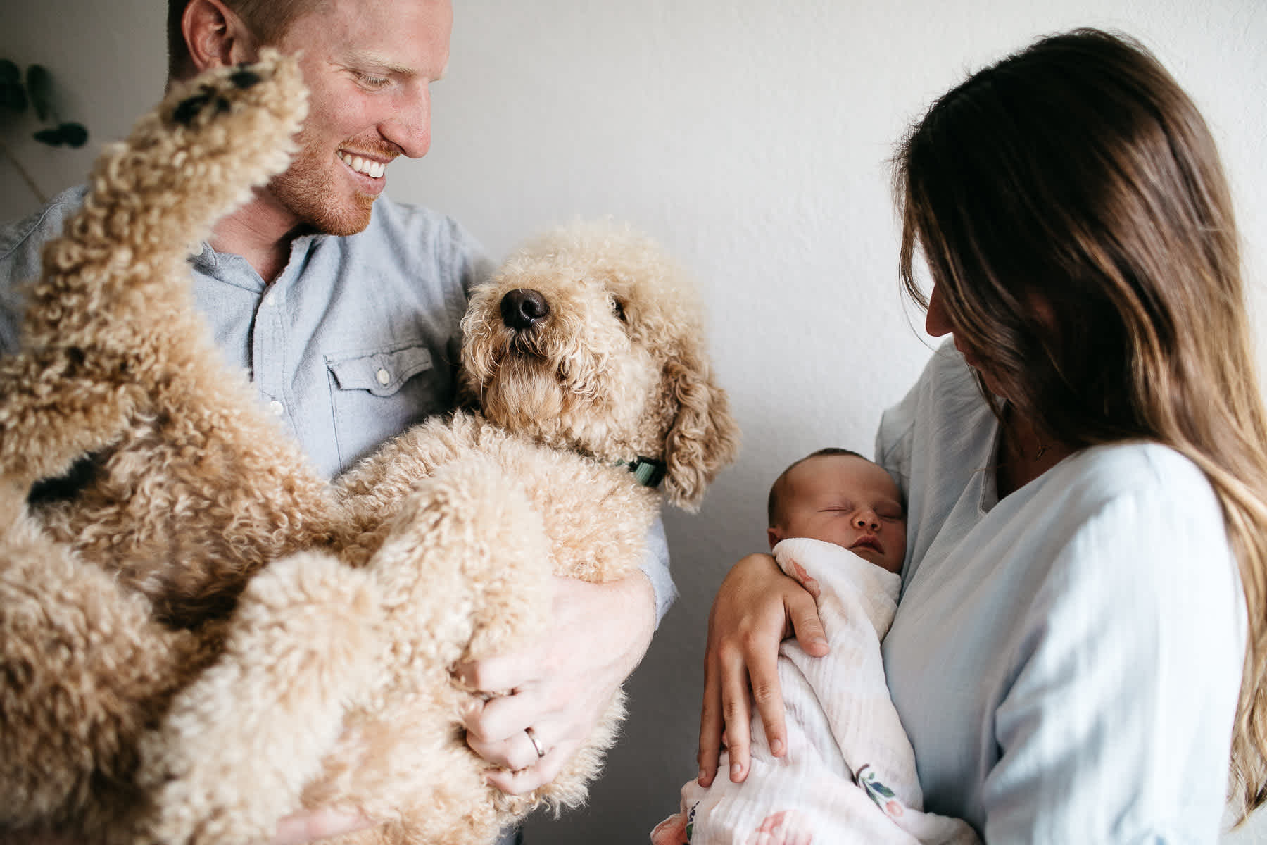 san-francisco-lifestyle-in-home-newborn-with-dog-54