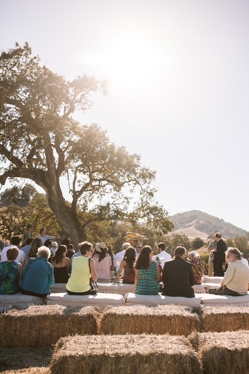 Monkey-ranch-petaluma-golden-hills-wedding-47