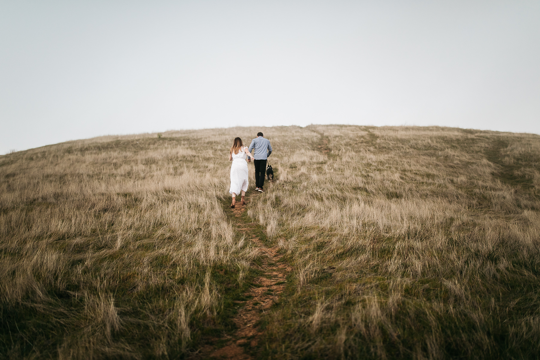 mt-tam-foggy-winter-engagement-session-australian-shepherd-puppy-42