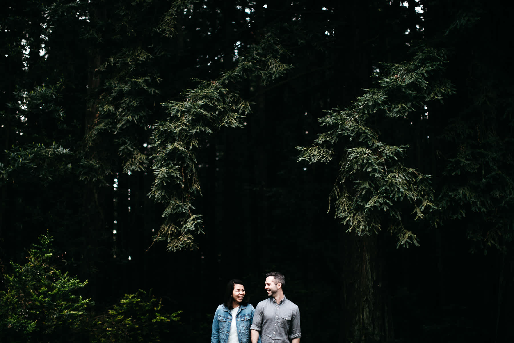 oakland-gloomy-redwood-engagement-session-with-puppy-47