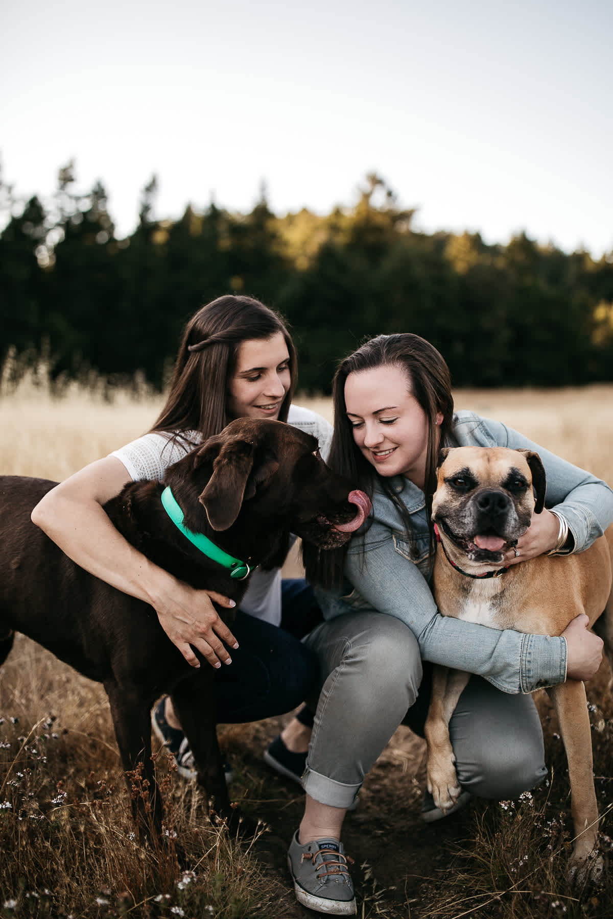 mt-tam-sunset-engagement-session-with-boxer-lab-dogs-24