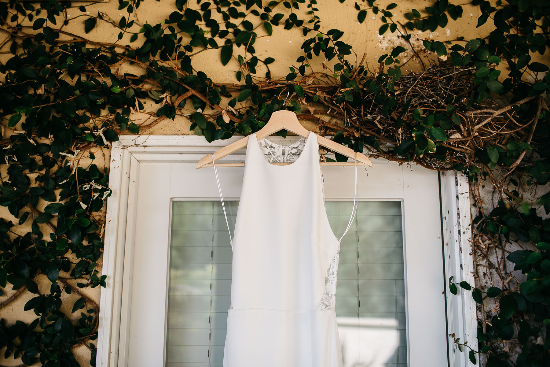 oakland-redwoods-summer-wedding-1