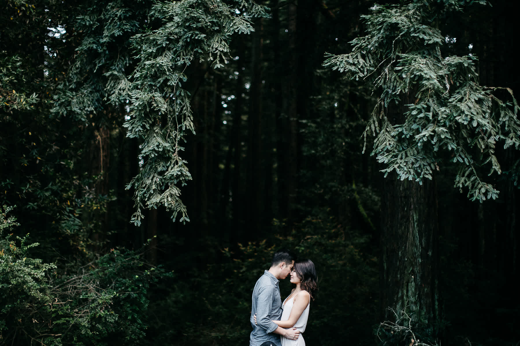 oakland-california-lifestyle-engagment-session-redwood-hills-18