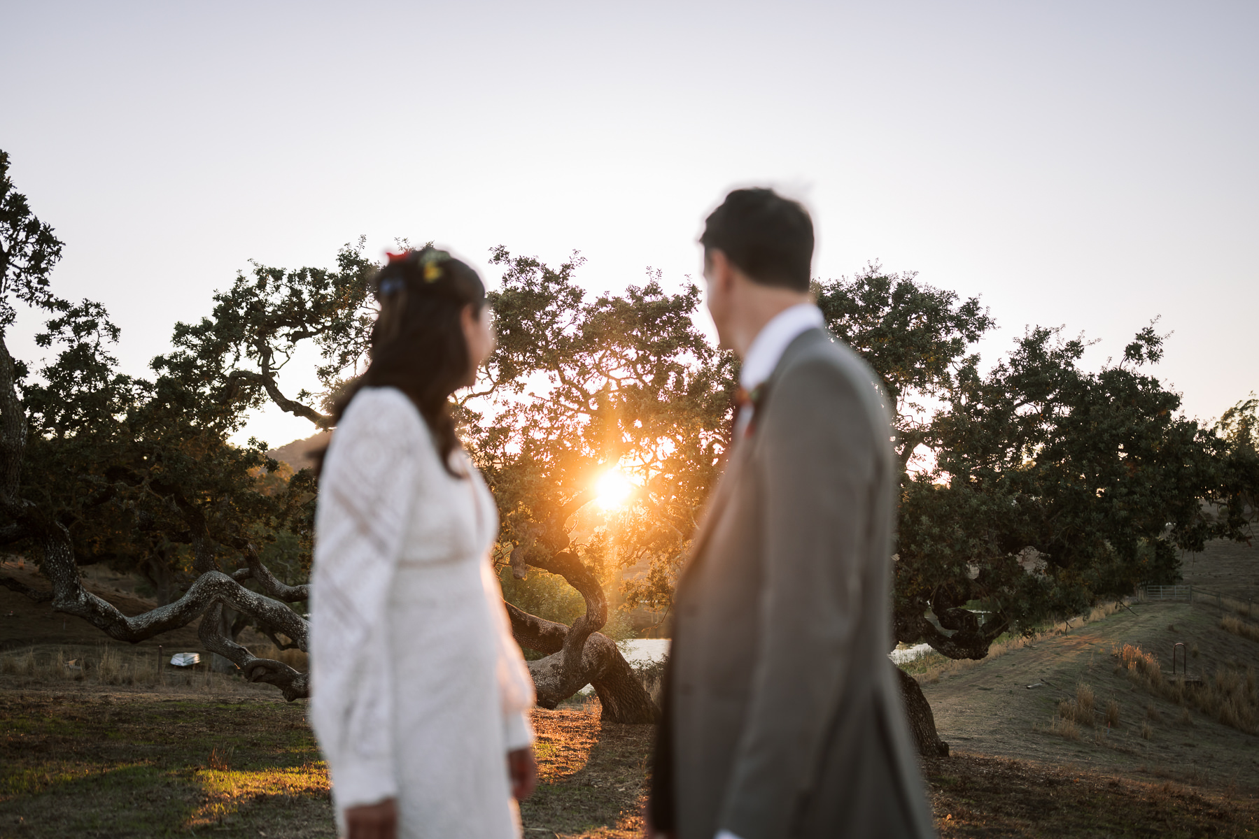 Monkey-ranch-petaluma-golden-hills-wedding-112