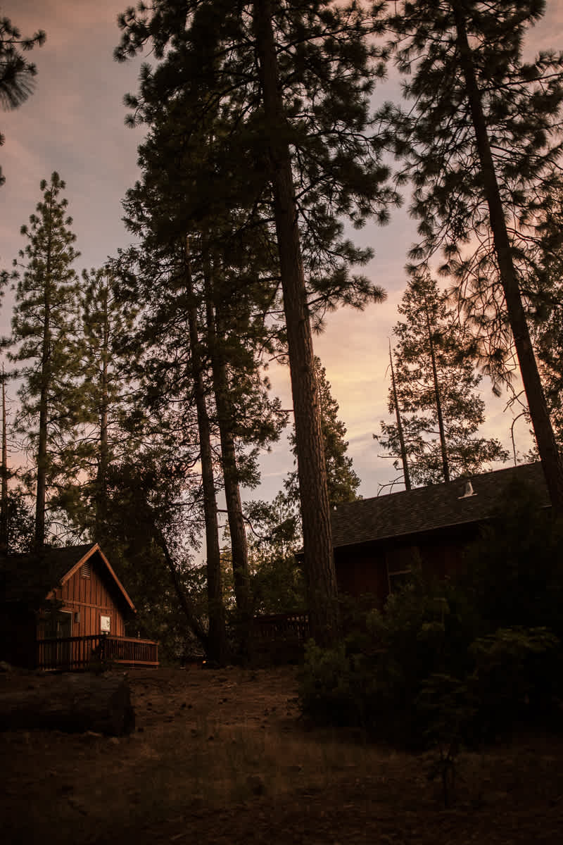 Evergreen-Lodge-Yosemite-Summer-wedding-228