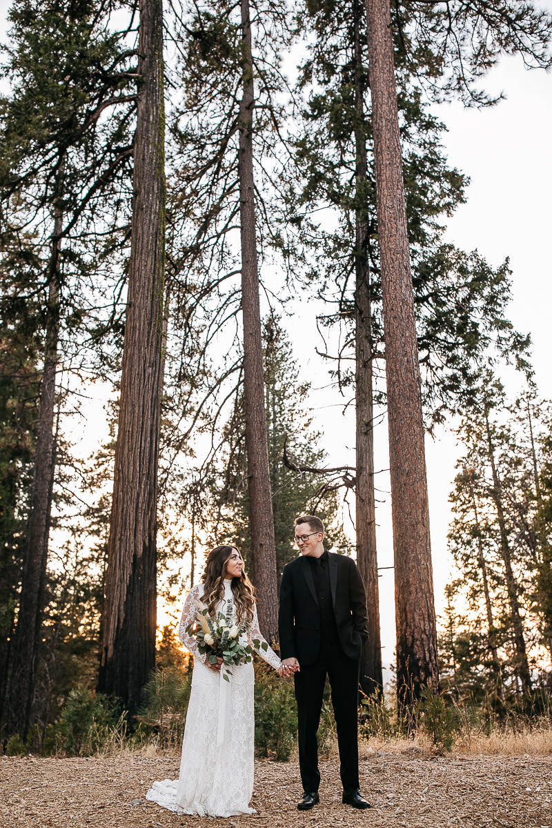 yosemite-rush-creek-fall-wedding-goldendoodle-88