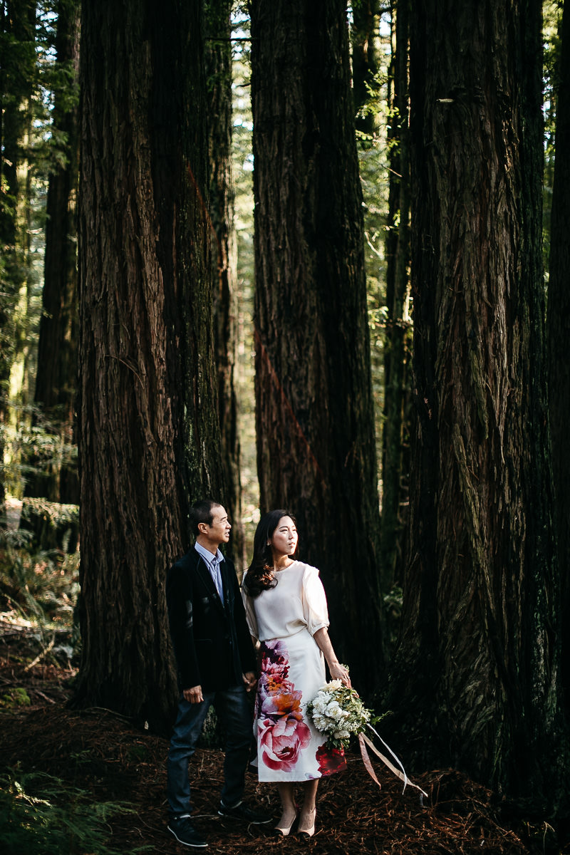 marin-headlands-redwood-golden-gate-bridge-engagement-session-5