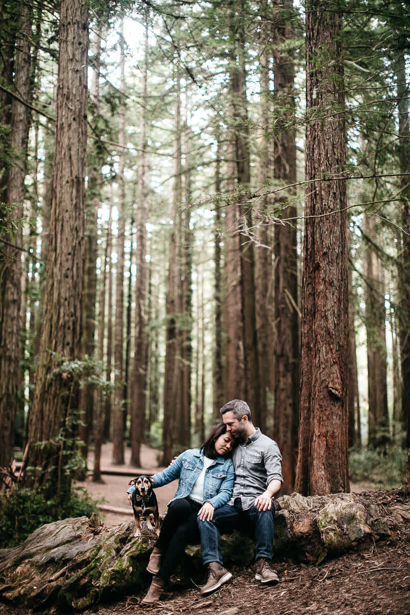 oakland-gloomy-redwood-engagement-session-with-puppy-22