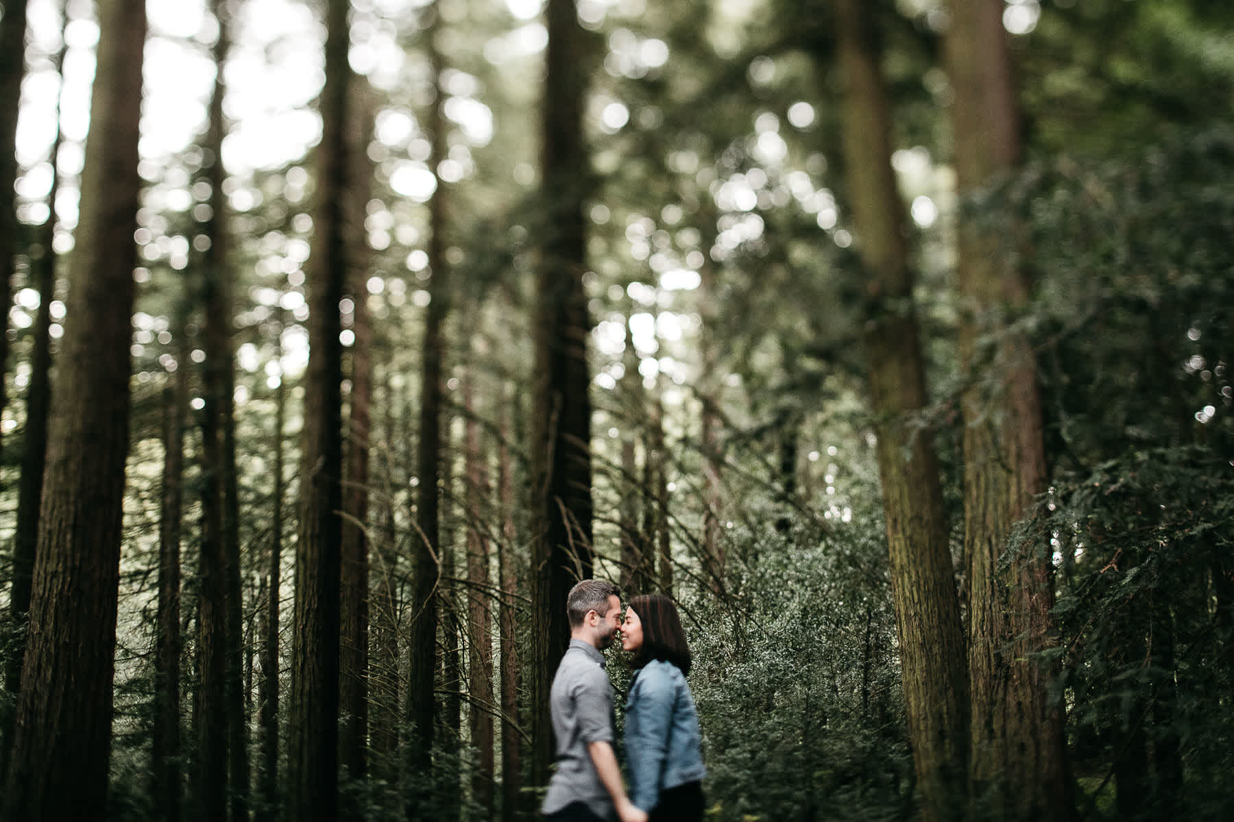 oakland-gloomy-redwood-engagement-session-with-puppy-32