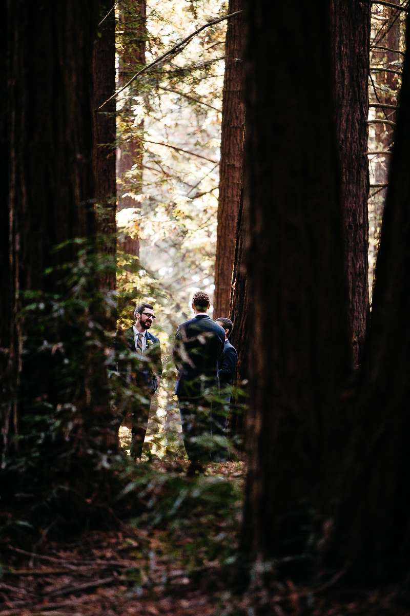 oakland-redwoods-summer-wedding-34