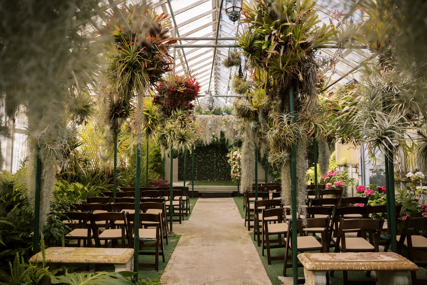 Pacifica-shelldance-orchid-gardens-summer-wedding-62
