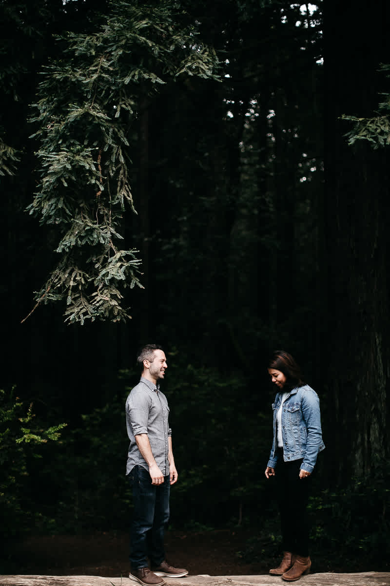 oakland-gloomy-redwood-engagement-session-with-puppy-37