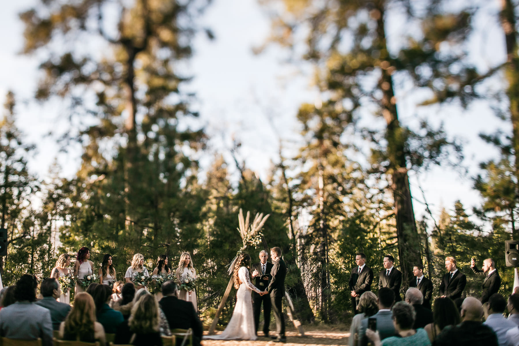 yosemite-rush-creek-fall-wedding-goldendoodle-52