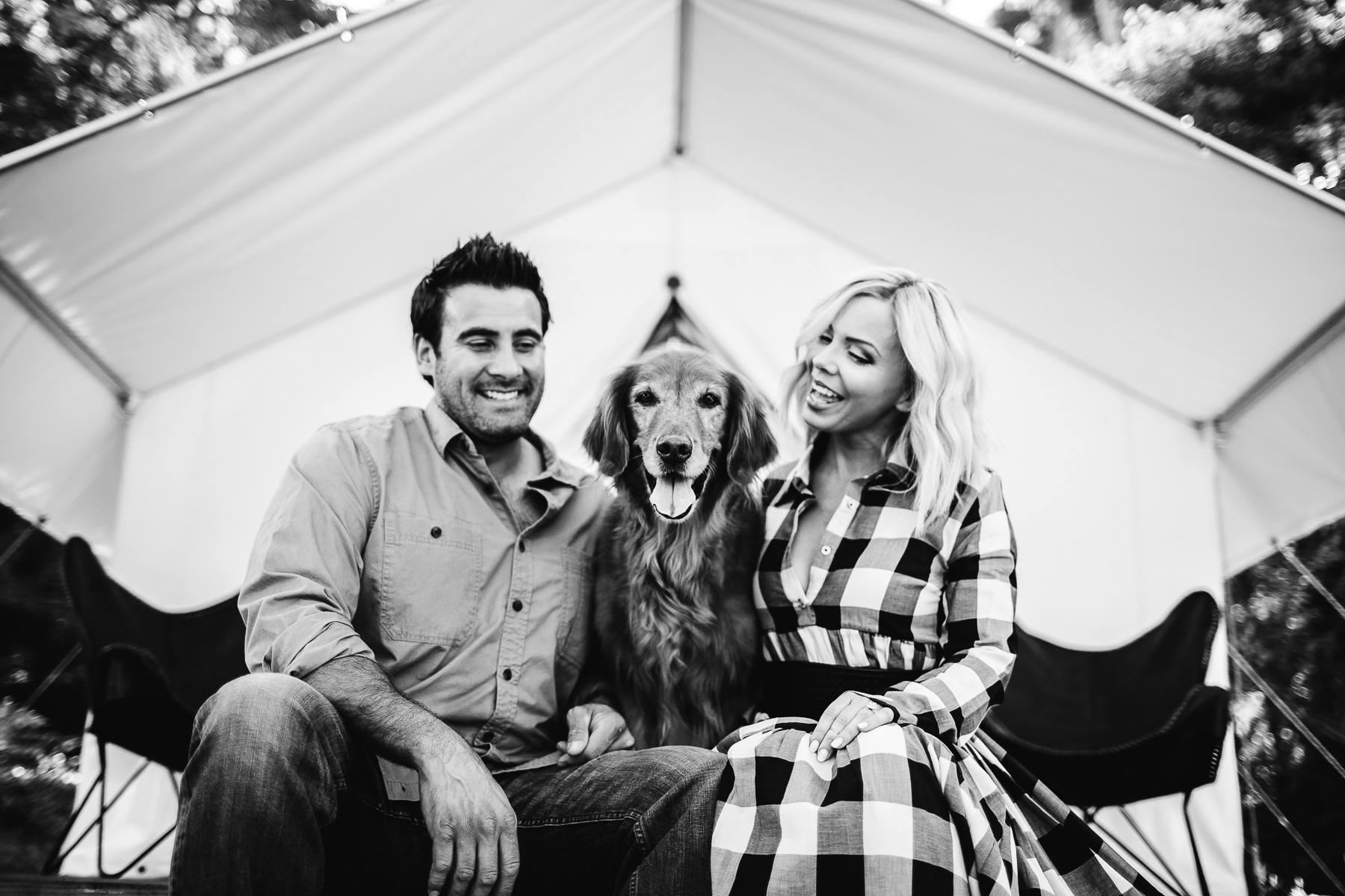 mendocino-grove-ca-glamping-waterside-anniversary-session-golden-retriever-4