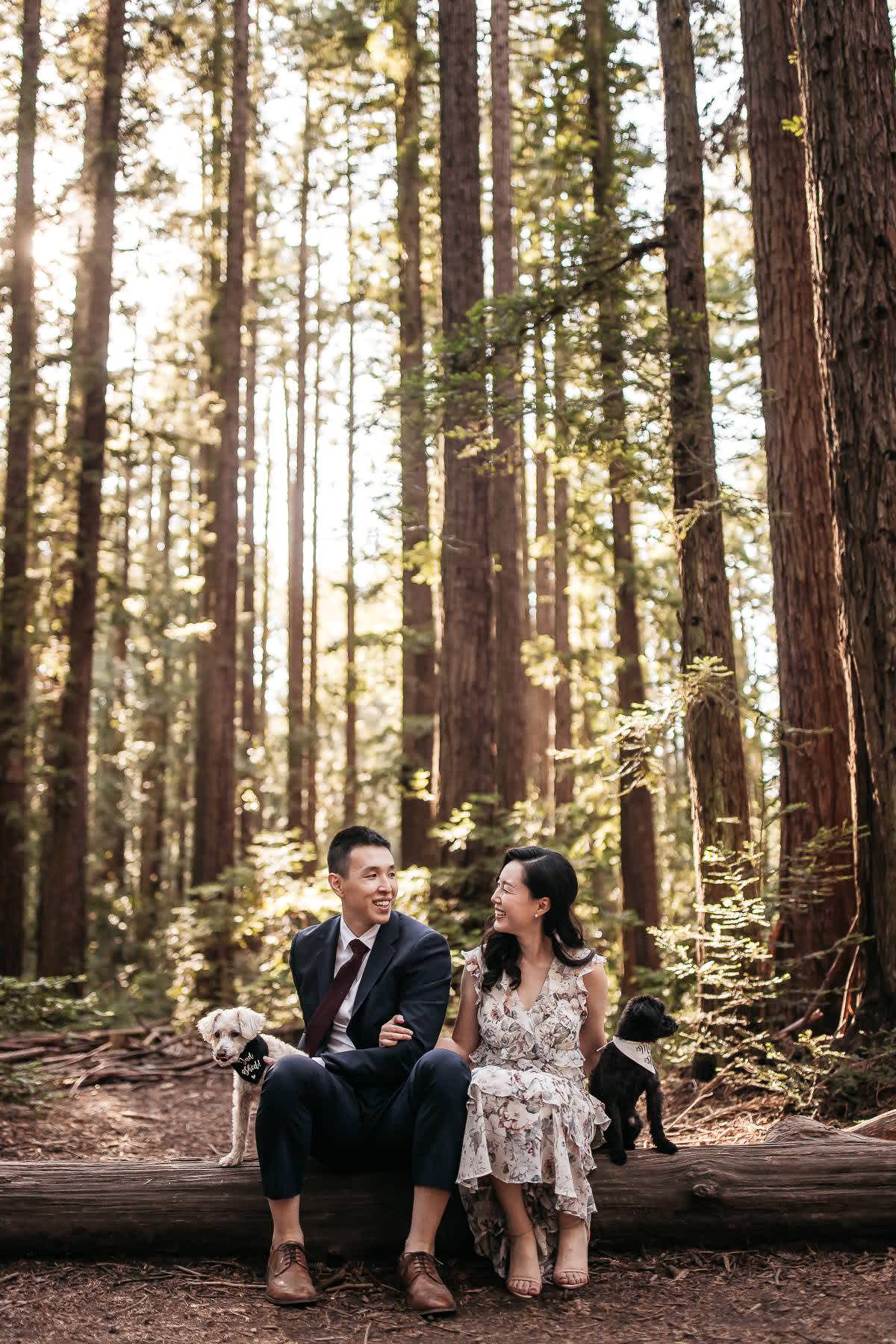redwoods-coastal-pampas-grass-lifestyle-engagement-session-with-pups-4