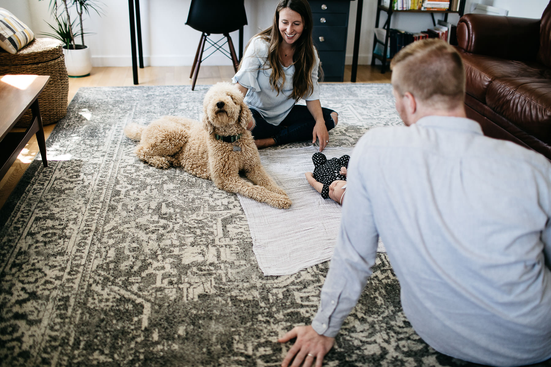 san-francisco-lifestyle-in-home-newborn-with-dog-16