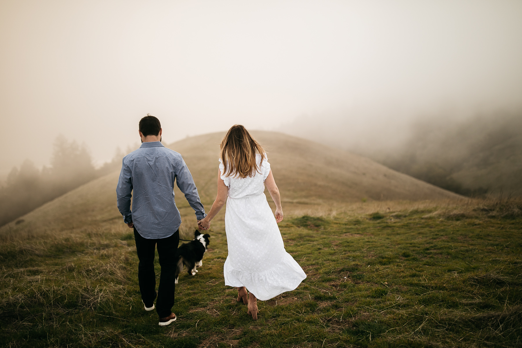 mt-tam-foggy-winter-engagement-session-australian-shepherd-puppy-17 