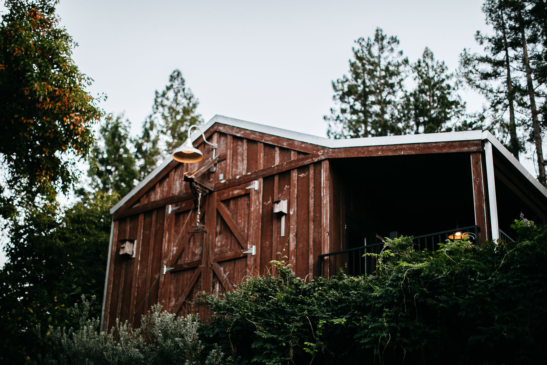 applewood-inn-Guerneville-ca-fall-wedding-day-76