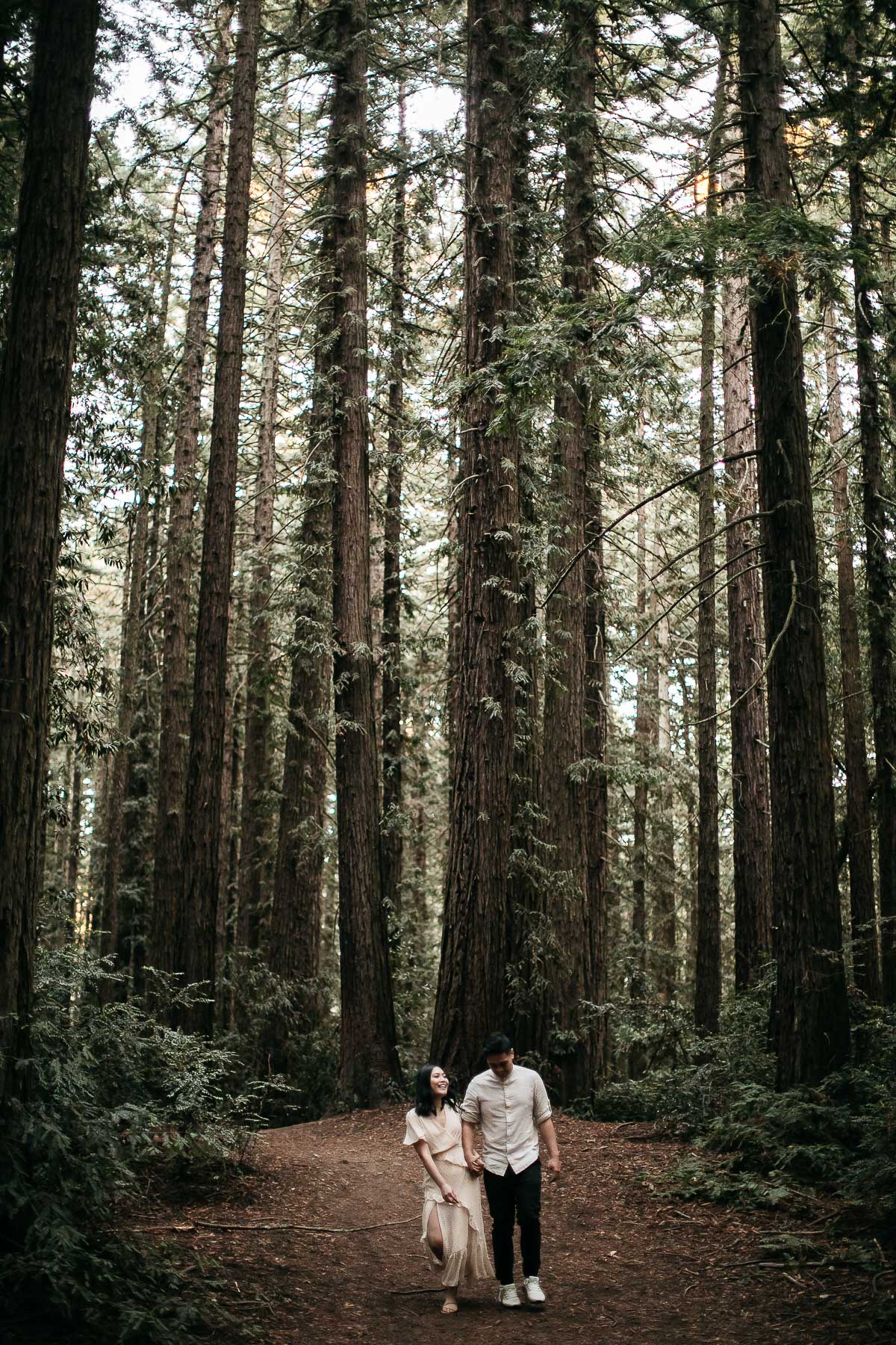 oakland-redwoods-fall-golden-light-engagement-session-9