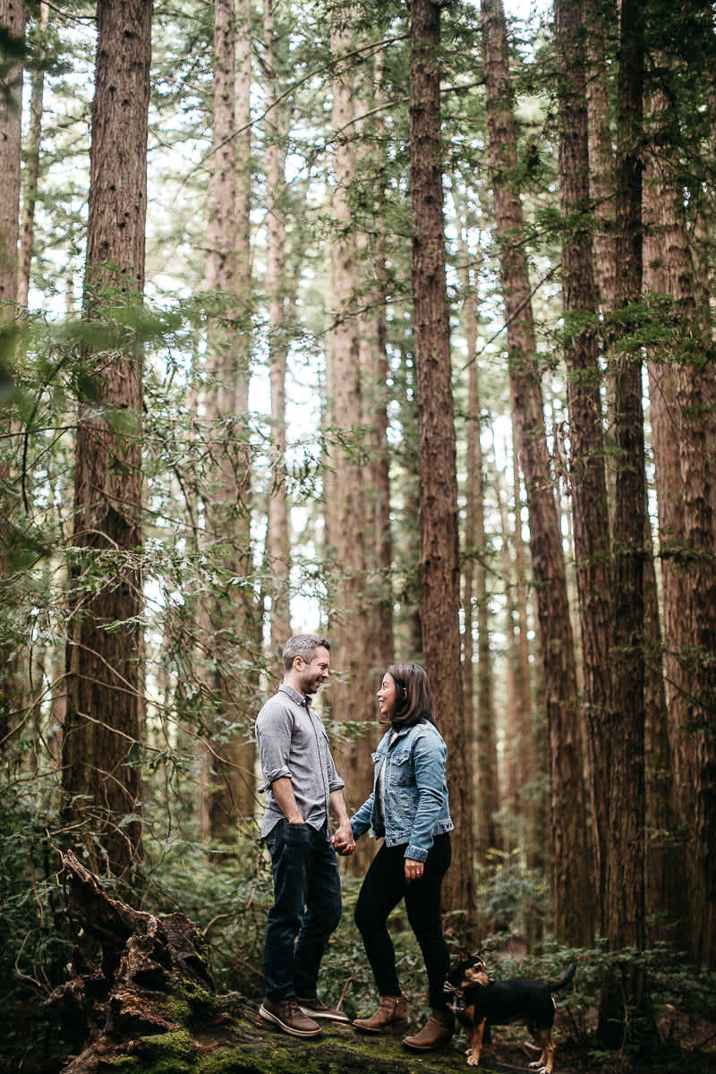 oakland-gloomy-redwood-engagement-session-with-puppy-11