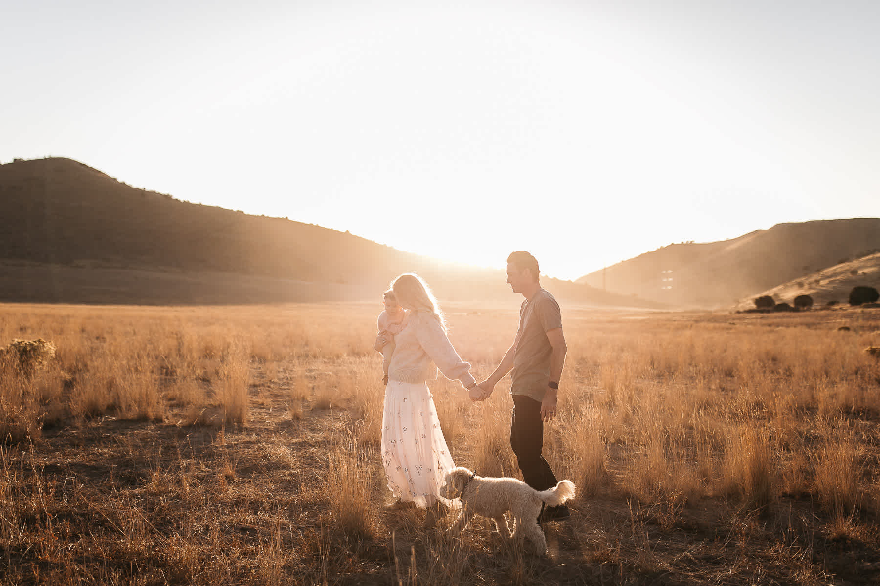 golden-hills-sunset-lifestyle-session-family-with-goldendoodle-1