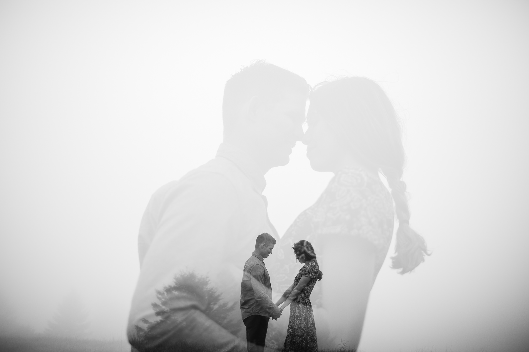 mt-tam-california-foggy-fall-engagement-hills-redwood-engagement-session-39