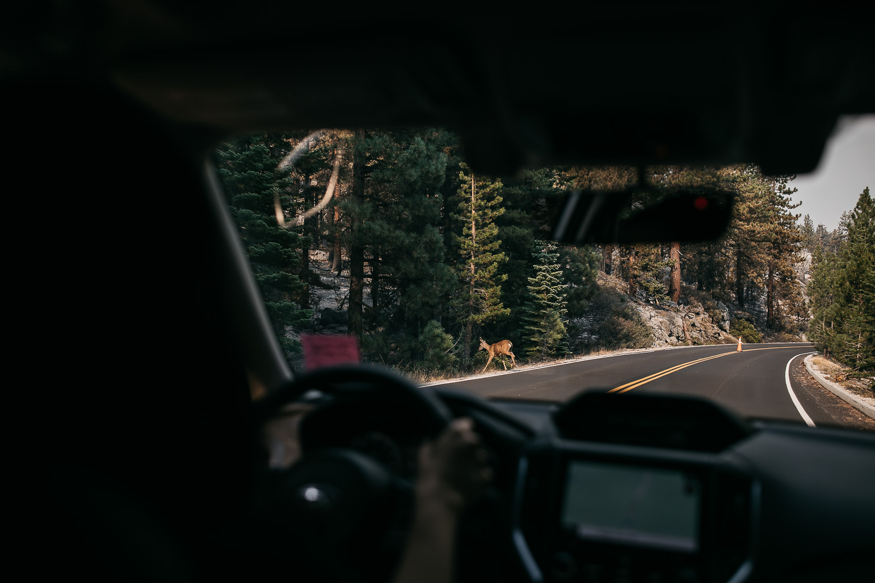 yosemite-cathedral-lake-hiking-sunset-elopement-35