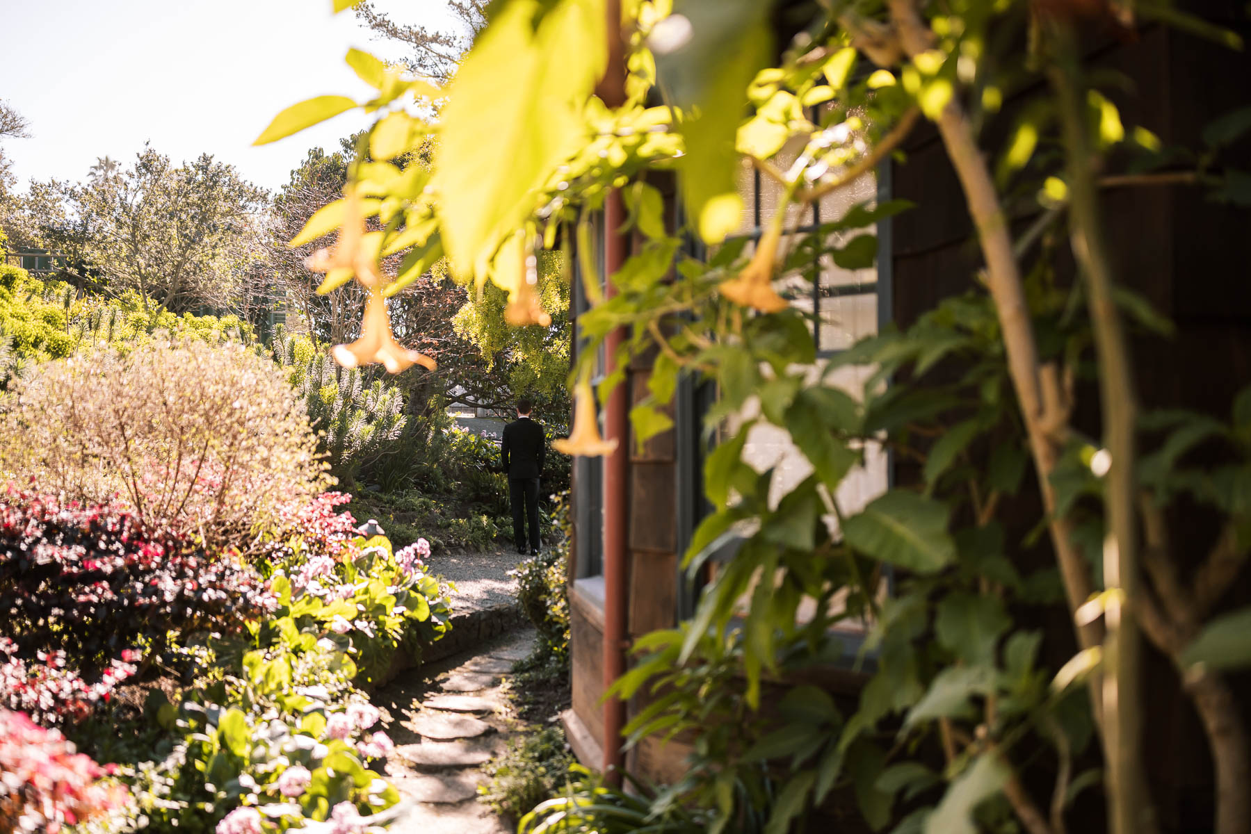 Willow-Camp-Stinson-Beach-Community-Center-Sunny-Winter-Wedding-23