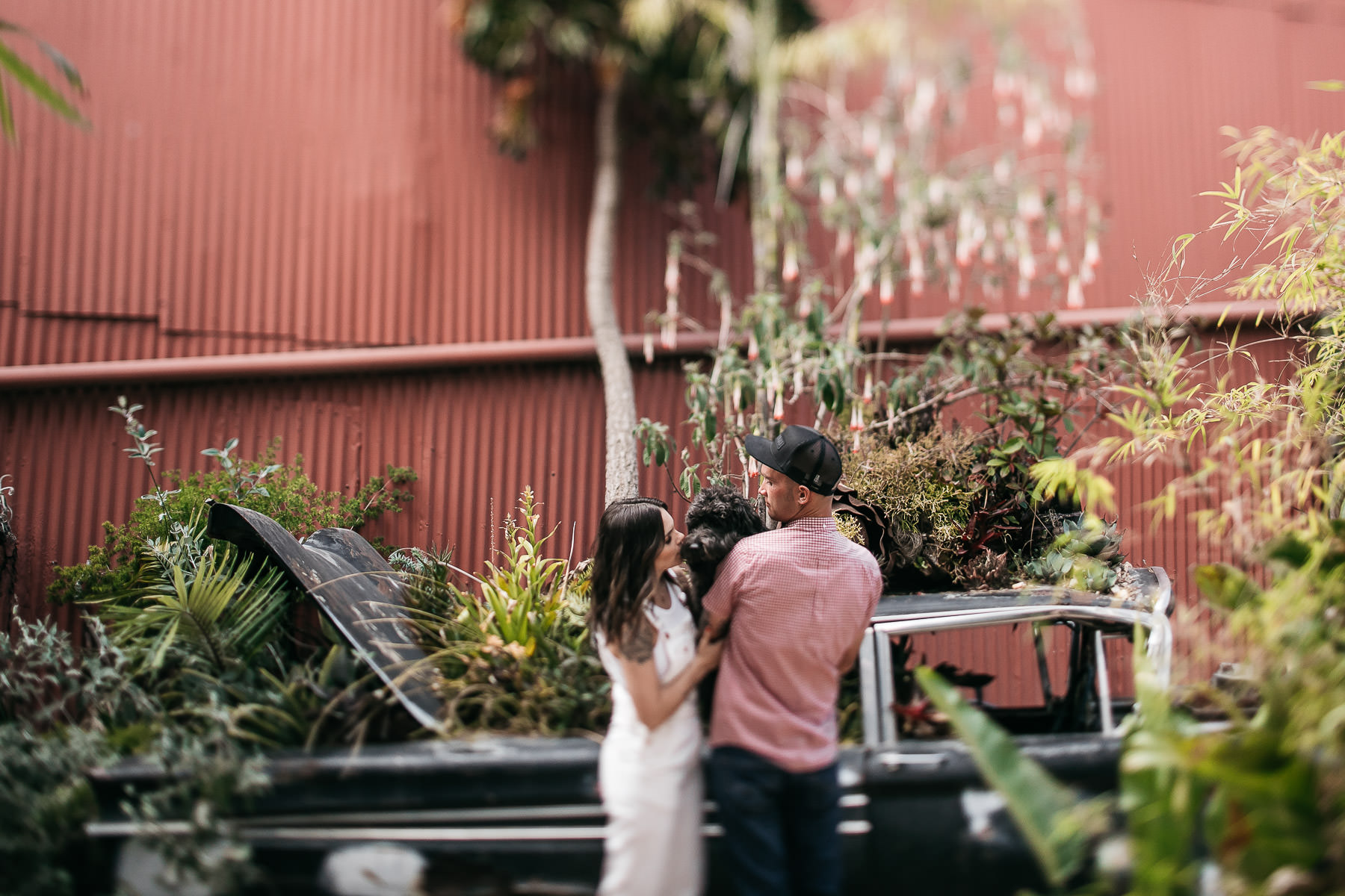 san-francisco-flora-grubb-gardens-engagement-city-foggy-session-4