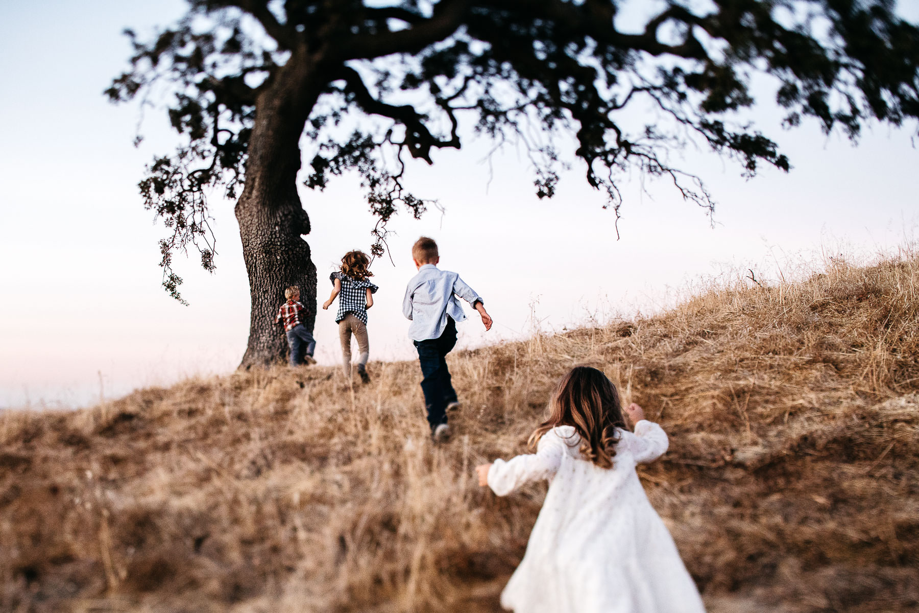 concord-golden-hill-california-fall-lifestyle-session-25